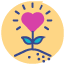 volunteer